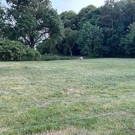 度假居 Het Strypsehuisje