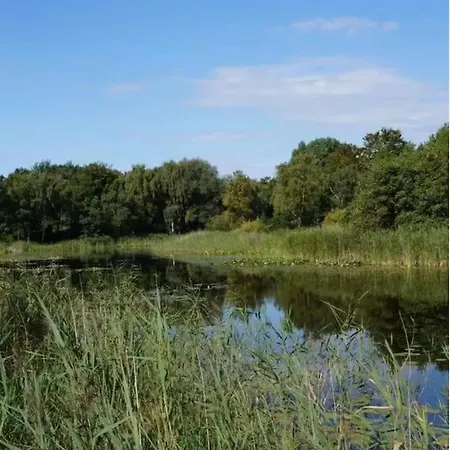 度假居 Het Strypsehuisje 洛坎杰