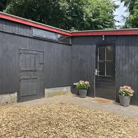 Het Strypsehuisje Rockanje