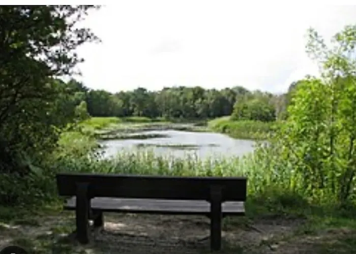 Het Strypsehuisje Rockanje