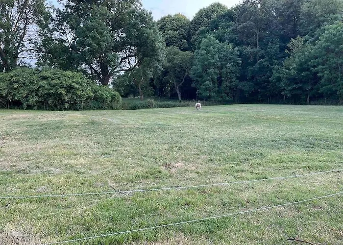 Vakantiehuis Het Strypsehuisje