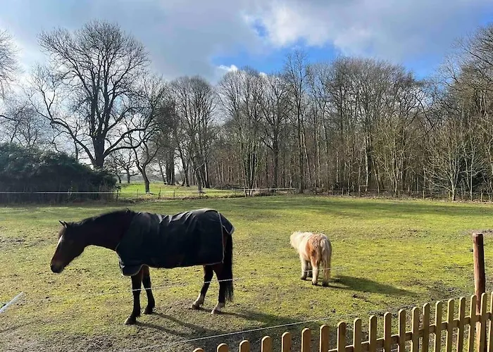 Het Strypsehuisje Rockanje