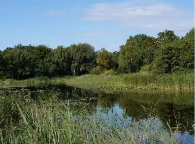 Vakantiehuis Het Strypsehuisje Rockanje