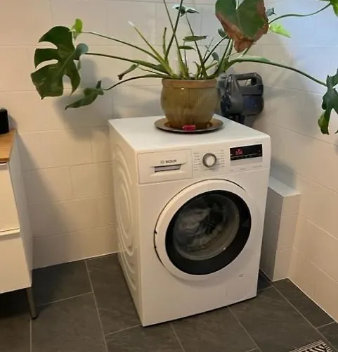 Het Strypsehuisje Vakantiehuis