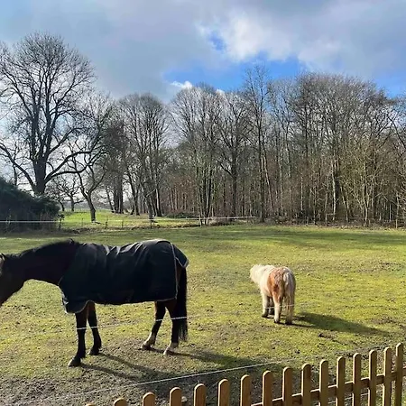 Het Strypsehuisje 로칸제